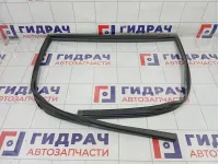 Уплотнитель стекла заднего левого GAC GS8