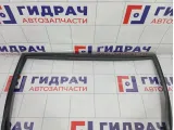 Уплотнитель стекла заднего левого GAC GS8