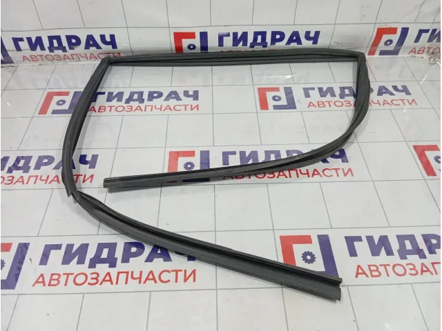 Уплотнитель стекла заднего правого GAC GS8
