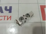 Клапан кондиционера GAC GS8 GZ4475004930