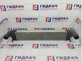 Интеркулер GAC GS8 2330003BAL0001
