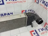 Интеркулер GAC GS8 2330003BAL0001