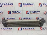 Интеркулер GAC GS8 2330003BAL0001