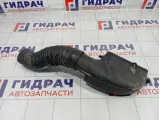 Воздухозаборник GAC GS8 2020004BAL0000