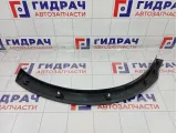 Накладка крыла заднего левого GAC GS8 7185071CAD0000