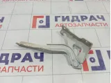 Петля капота левая GAC GS8 5820001CAD0000