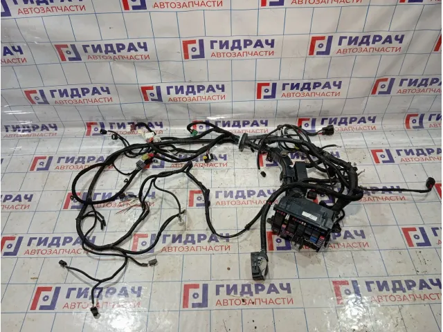 Проводка подкапотная GAC GS8 8310005CAD7300