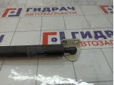 Амортизатор крышки (двери) багажника левый GAC GS8
