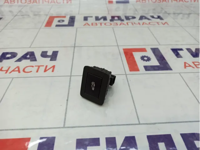 Кнопка закрывания багажника GAC GS8 8230015CAD0000SA1
