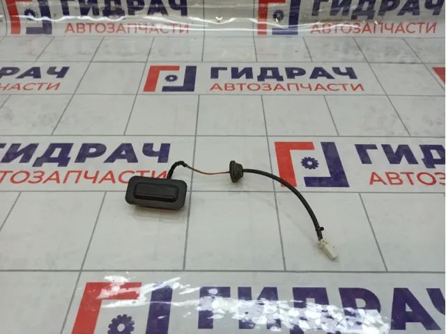 Кнопка открывания багажника GAC GS8 8225030CAD0000