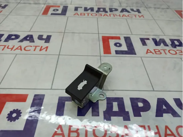 Ручка открывания капота GAC GS8 5620006CAD0000