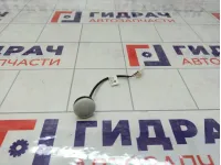 Датчик GAC GS8 6006005471558