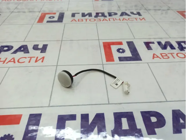 Датчик GAC GS8 6006005473173