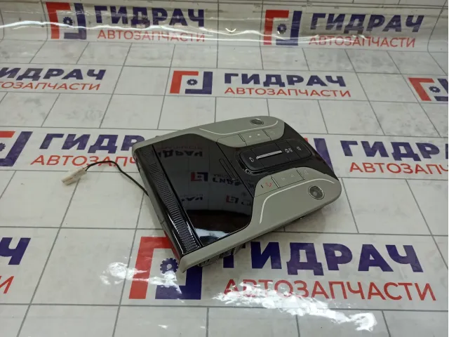 Плафон салонный GAC GS8 6605003CAD0400