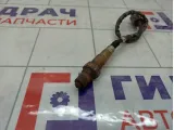 Датчик кислородный/Lambdasonde GAC GS8 0258006974