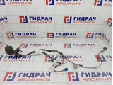 Проводка двери передней правой GAZ Volga Siber 04608974AIA