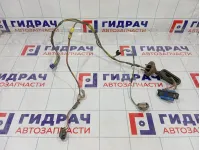 Проводка двери задней левой GAZ Volga Siber