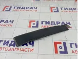 Накладка двери наружная задняя левая GAZ Volga Siber