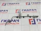 Топливная рампа (топливная рейка) GAZ Volga Siber