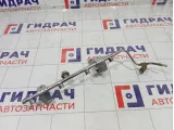 Топливная рампа (топливная рейка) GAZ Volga Siber