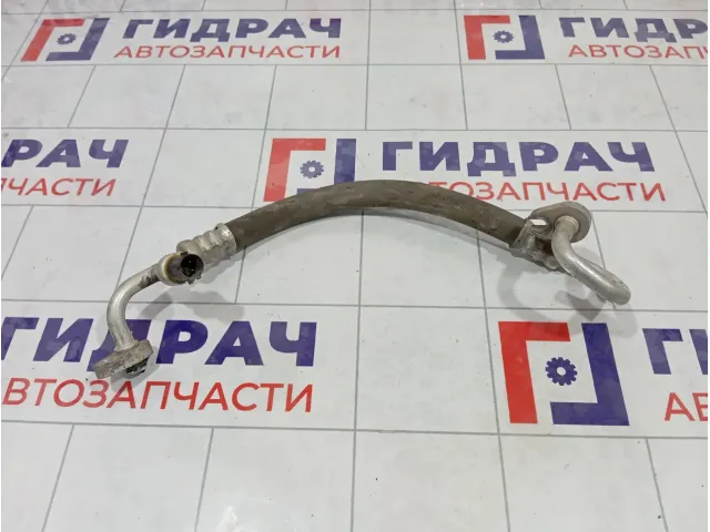 Трубка кондиционера GAZ Volga Siber 04596553AD
