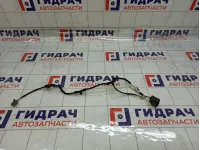 Проводка (коса) GAZ Volga Siber 3001593500AGB