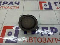 Динамик GAZ Volga Siber