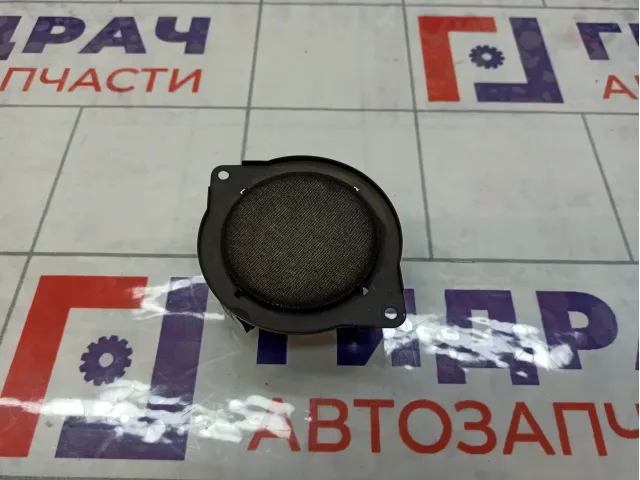 Динамик GAZ Volga Siber