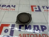 Динамик GAZ Volga Siber