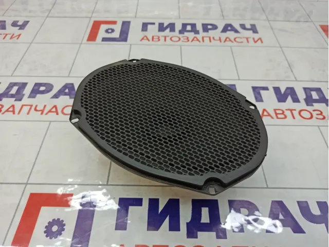 Динамик GAZ Volga Siber