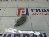 Плафон салонный GAZ Volga Siber 04608692AA