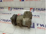 Компрессор системы кондиционирования GAZ Volga Siber 04596550AC