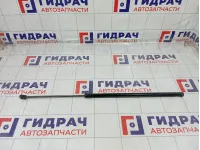 Амортизатор капота левый Geely Atlas 01862068