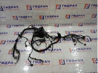 Проводка подкапотная Geely Atlas 6600122671