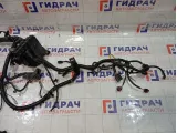 Проводка подкапотная Geely Atlas 6600122671