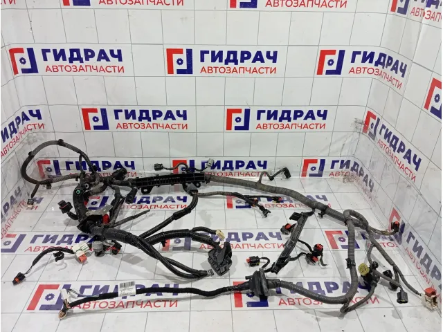 Проводка двигателя Geely Atlas 1116050046