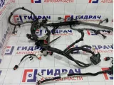 Проводка двигателя Geely Atlas 1116050046
