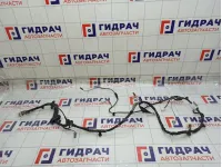 Проводка двери багажника Geely Atlas 01733436