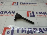 Катушка зажигания Geely Atlas 01658529