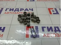 Колпачок колёсного болта комплект Geely Atlas