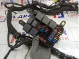Проводка торпедо Geely Atlas 6600278281