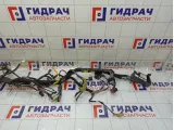 Проводка торпедо Geely Atlas 6600278281