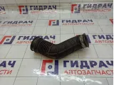 Патрубок воздушного фильтра Geely Atlas 01612279