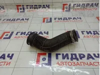 Патрубок воздушного фильтра Geely Atlas 01612279