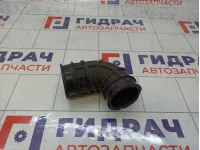 Патрубок воздушного фильтра Geely Atlas 01612279