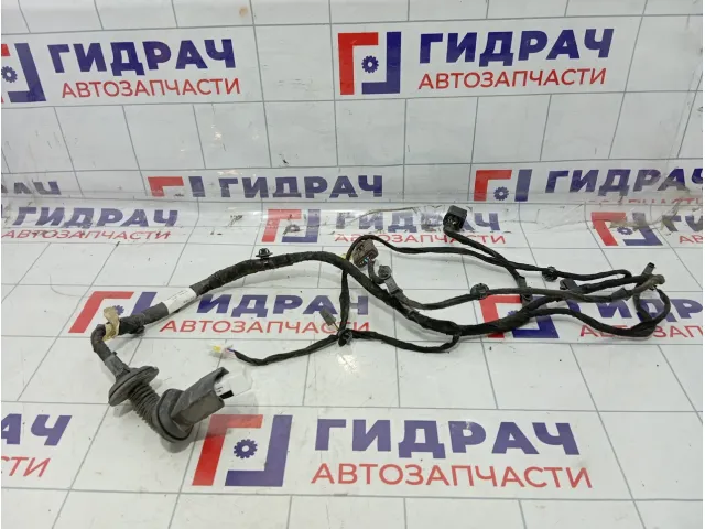 Проводка двери задняя правая Geely Atlas (NL-3) 60042159
