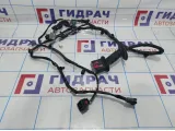 Проводка двери передней левой Geely Emgrand EC 7 1067001188.