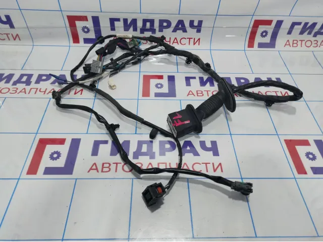 Проводка двери передней левой Geely Emgrand EC 7 1067001188.