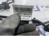 Проводка двери передней левой Geely Emgrand EC 7 1067001188.