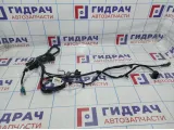 Проводка двери передней левой Geely Emgrand EC 7 1067001188.